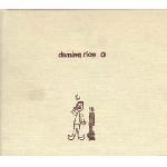 Damien Rice - O