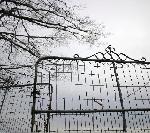 Tandy - Did you think I was gone