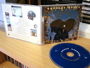 World Party - Goodbye jumbo