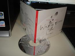 Marjan Debaene - Wolfish times