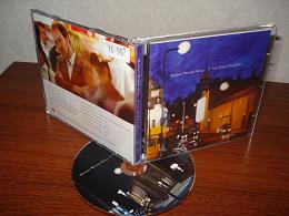 Michael Weston King - A new kind of loneliness