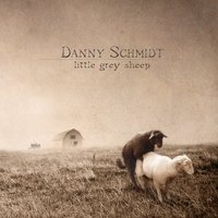 Danny Schmidt - Little grey sheep 19-02