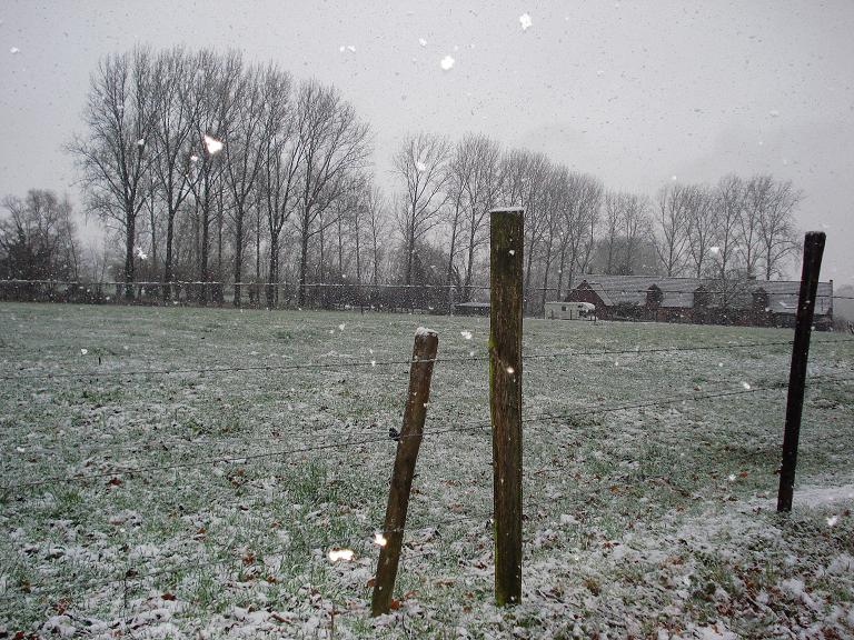 de eerste sneeuw 02
