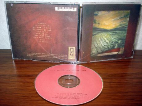 23 Steve Von Till - If I should fall to the field