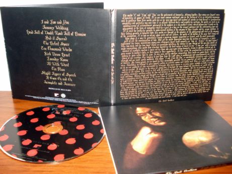 10 The Avett Brothers - I and love and you