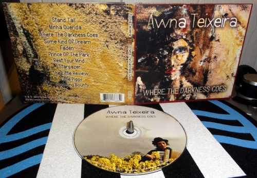 awna teixeira, where the darkness goes