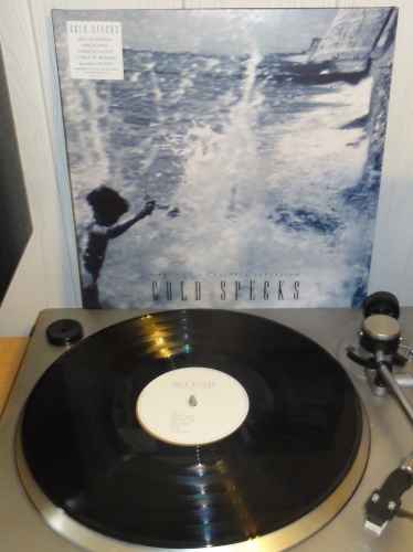 cold specks, i predict a graceful expulsion