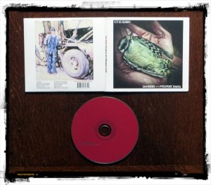 otis gibbs, souvenirs of a misspent youth, beste albums, 2014